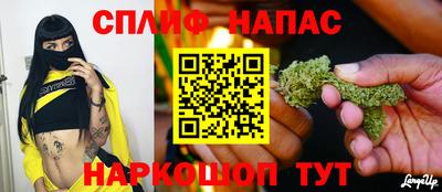 гашик Заводоуковск